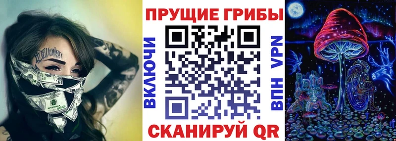 Псилоцибиновые грибы мухоморы  Зима 